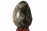Septarian Dragon Egg Geode - Black Crystals #137949-1